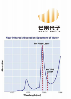 研发团队